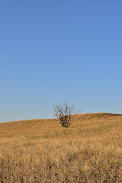 Foto dorfleben entwerfen