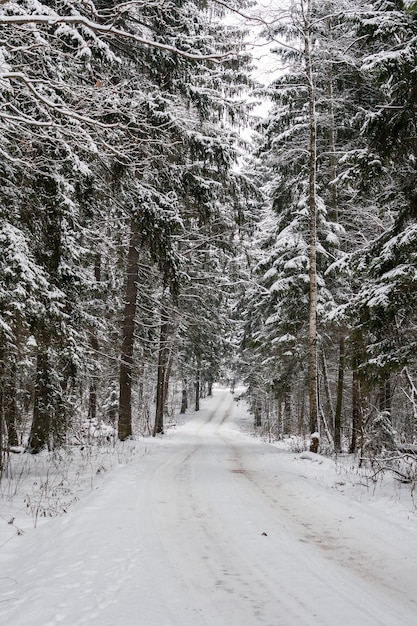 Dorfstraße im Winterwald am bewölkten Tag