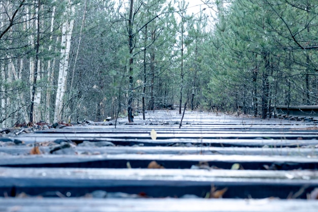 Dormentes de uma ferrovia abandonada muito pequena profundidade de campo A imagem é borrada para um resumo