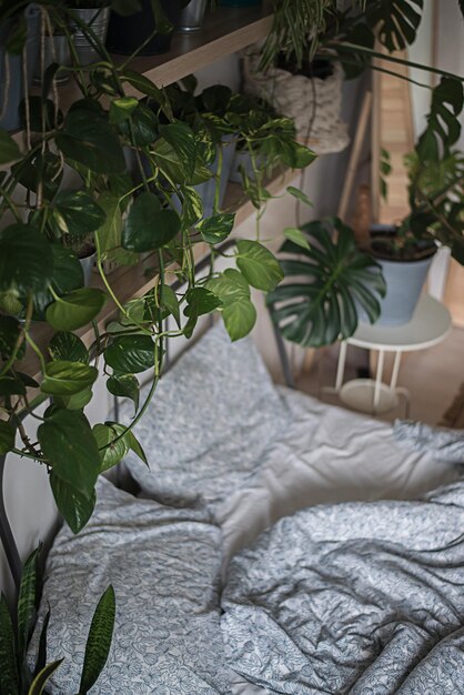 Foto dormitorio con flores tropicales en estantes alrededor