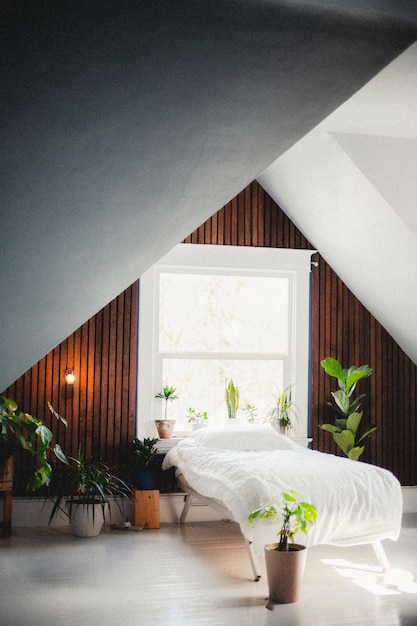 Dormitorio con muchas plantas.