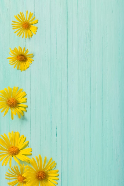 Foto doronicum flores sobre fondo de madera verde pintado