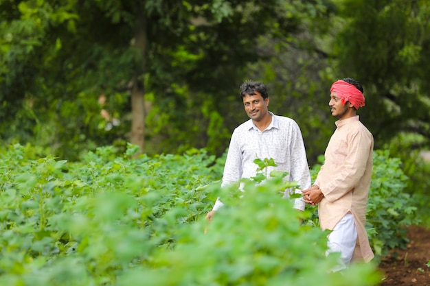 Dos agricultores indios discuten en el campo de la agricultura.