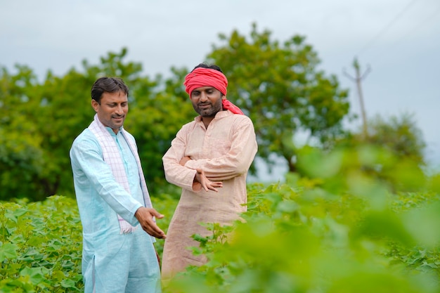 Dos agricultores indios hablando en el campo de la agricultura de algodón.