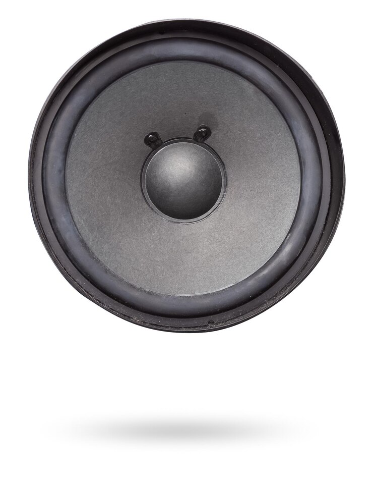 Dos altavoces de un sistema acústico un audio para reproducir música en el interior de un automóvil sobre un fondo blanco aislado en un estudio fotográfico piezas de repuesto para reparación de automóviles en un taller o para la venta para afinación
