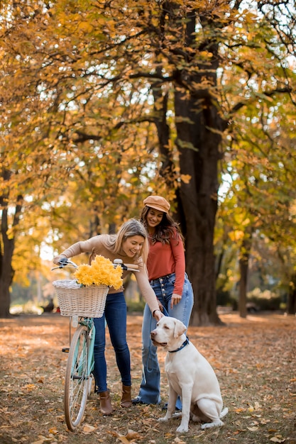 Dos amigas caminando en el parque otoño amarillo con perro y bicicleta