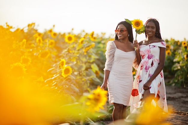 Dos amigas negras muy jóvenes usan pose de vestido de verano en un campo de girasoles.