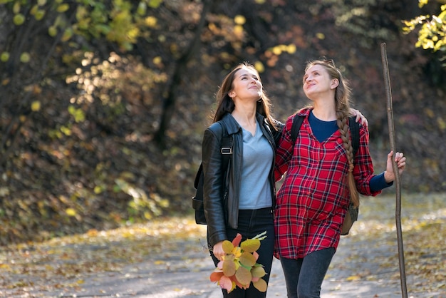 Dos amigos están caminando en el parque de otoño y disfrutando de un día soleado.