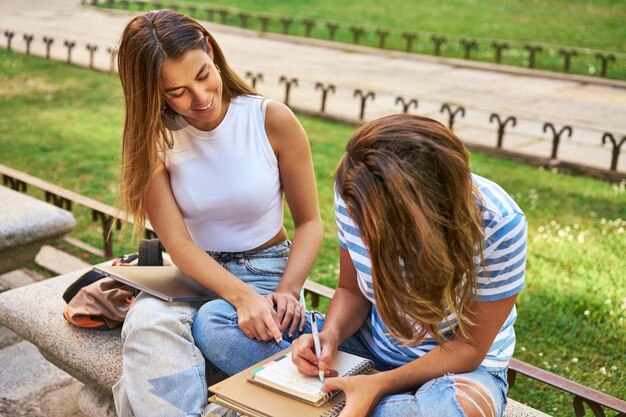 Dos amigos estudiando al aire libre en un banco de piedra