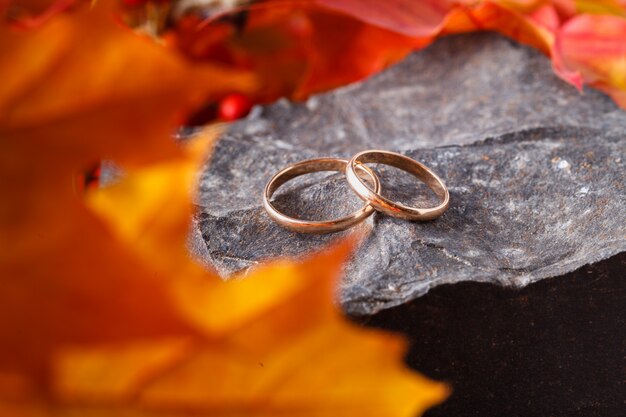 Dos anillos de boda en viejo foilage amarillo