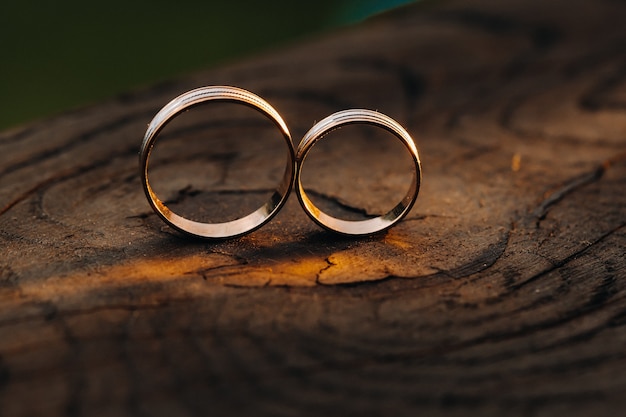 Dos anillos de compromiso de boda sobre una base de madera para un de oro de una pareja | Foto Premium