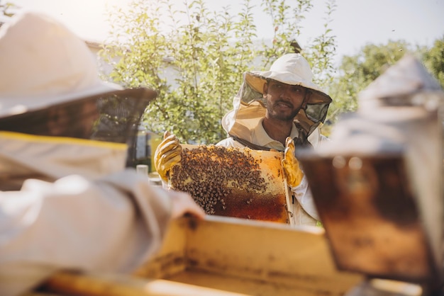 Foto dos apicultores felices y sonrientes trabajan con panal lleno de abejas en uniforme de protección