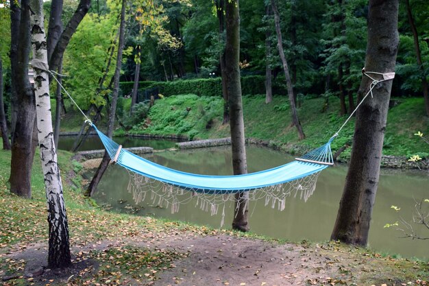 Entre dos árboles en el bosque cerca del río cuelga una hamaca para relajarse