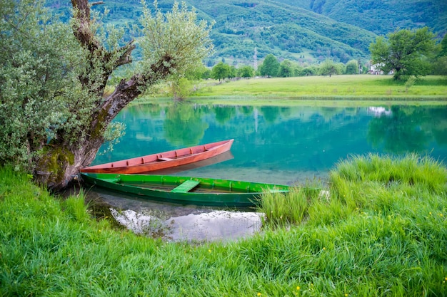 Dos barcos de madera están encadenados al tronco de un árbol en la orilla.