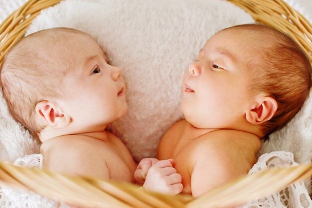 Dos bebés recién nacidos gemelos divertidos y dulces mirando el uno al otro