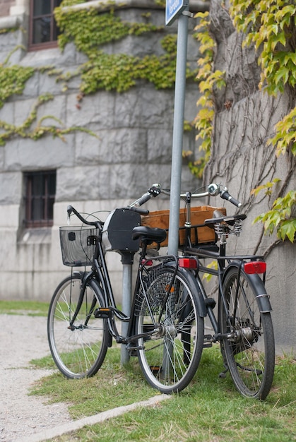 Dos bicicletas cerca de un muro de piedra cubierto de hiedra