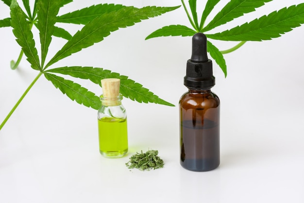 Dos botellas de aceite de cannabis medicinal con hojas de marihuana sobre fondo blanco.