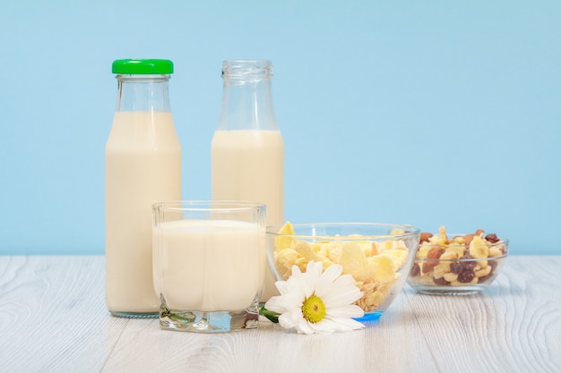 Dos botellas y vaso de leche fresca, tazones de vidrio con muesli y copos de maíz, flor de manzanilla sobre fondo azul y madera.