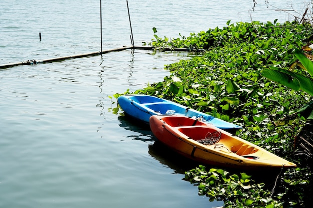 Dos botes y jacintos de agua al lado del río.