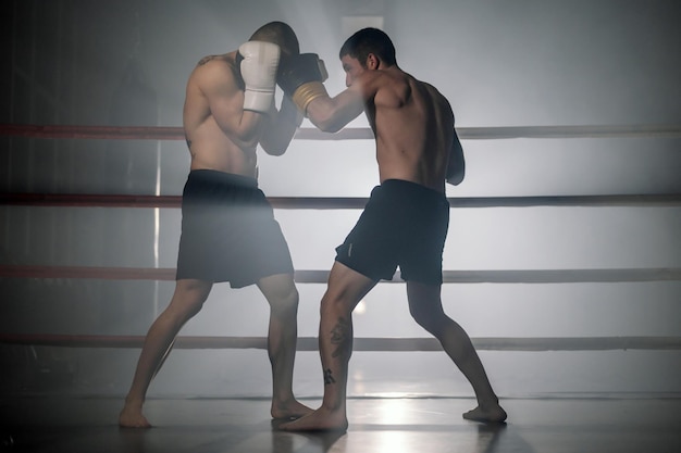 Dos boxeadores masculinos sin camisa musculosos jóvenes profesionales que luchan en un ring de boxeo Fotografía de alta calidad