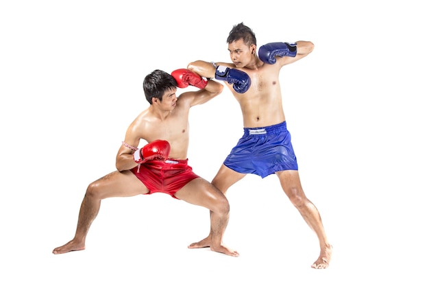 Dos boxeadores tailandeses que ejercitan el arte marcial tradicional, aislado en el fondo blanco