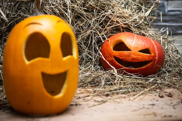 Dos calabazas de halloween se encuentran en el heno rojo en el fondo en foco amarillo borroso en primer plano