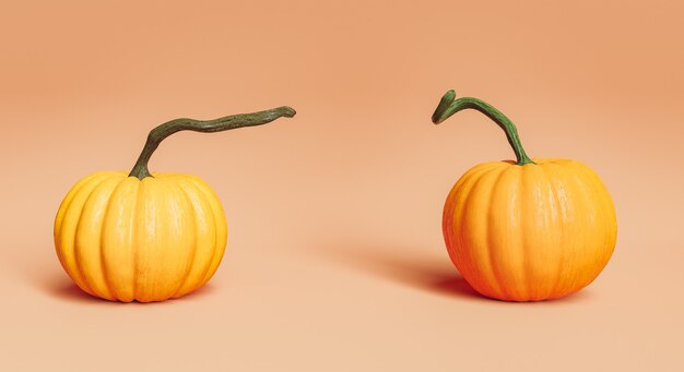 Dos calabazas realistas con tallos largos sobre fondo pastel en concepto de otoño