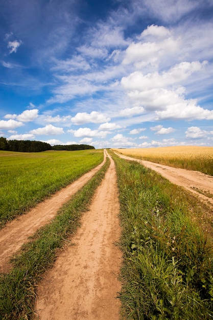 Dos caminos rurales no asfaltados que pasan cerca