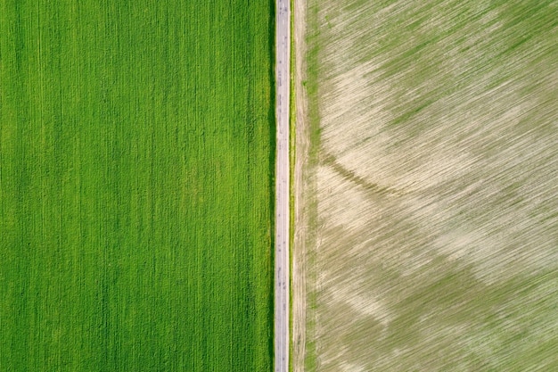 Dos campos verdes con textura separados por la carretera vista aérea de fondo de naturaleza abstracta