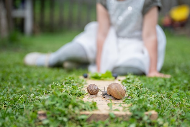 Dos caracoles, pequeños y grandes, en una tabla de madera colocada sobre hierba verde con una niña pequeña borrosa en el fondo observando a los animales.