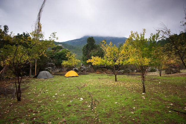 Dos carpas en las montañas