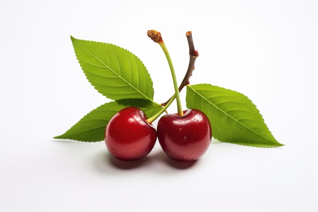 dos cerezas con hojas verdes sobre un fondo blanco