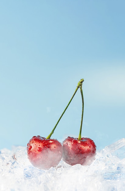 Dos cerezas maduras en hielo