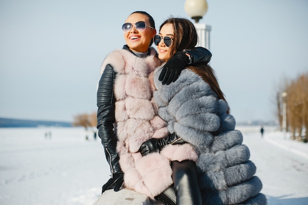 dos chicas elegantes y magníficas con elegantes abrigos de pieles caminando en el parque de invierno