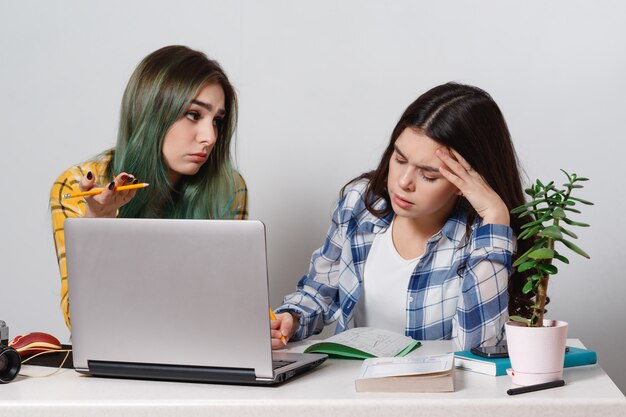 Dos chicas jóvenes estudiantes con computadoras portátiles que estudian juntos en la mesa