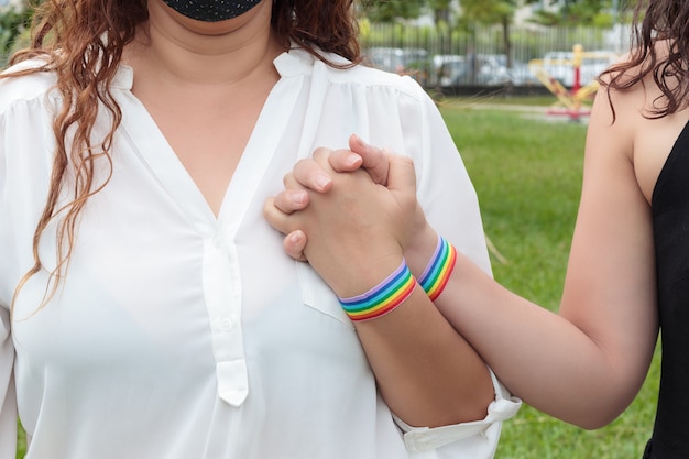 Foto dos chicas lesbianas cogidos de la mano con bandera del orgullo