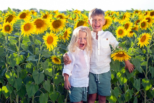 Dos chicos guapos felices están parados en un campo de girasoles florecientes