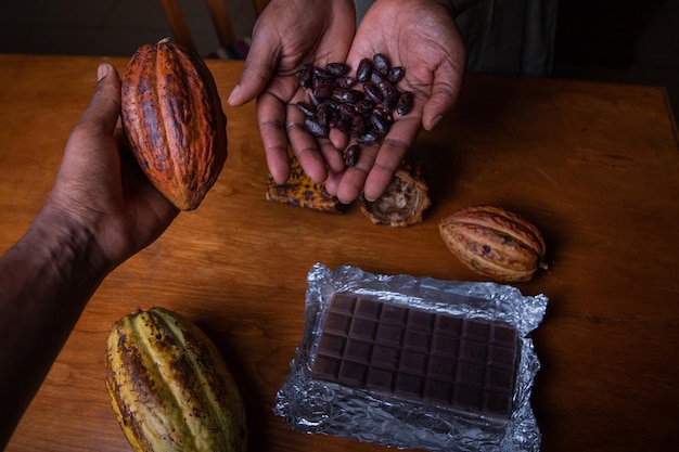 Dos chocolateros sostienen vainas de cacao con los granos de cacao extraídos en sus manos