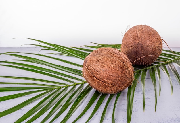 Dos cocos con una hoja de palma sobre una mesa blanca.