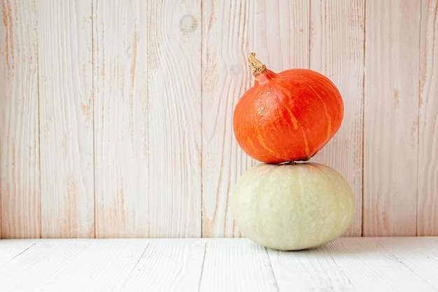 Dos coloridas calabazas diferentes delante de la pared de madera de estilo rústico