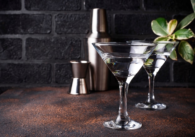 Dos copas de cóctel de martini