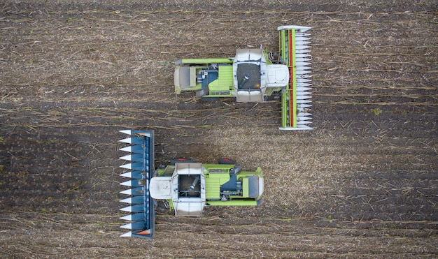 Dos cosechadoras nuevas cosechan grano. Vista de drones.