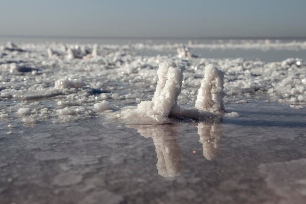 Dos cristales de sal formados a orillas de un lago con un alto contenido de sal