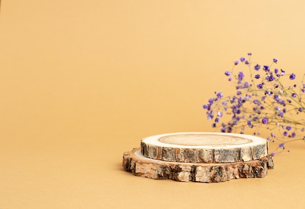 Dos discos de madera doblados en forma de podio y una ramita de gypsophila sobre un fondo beige para la presentación del producto Espacio de copia