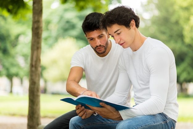 Dos estudiantes estudiando juntos sentados en un banco al aire libre