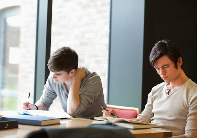 Dos estudiantes trabajando en una tarea