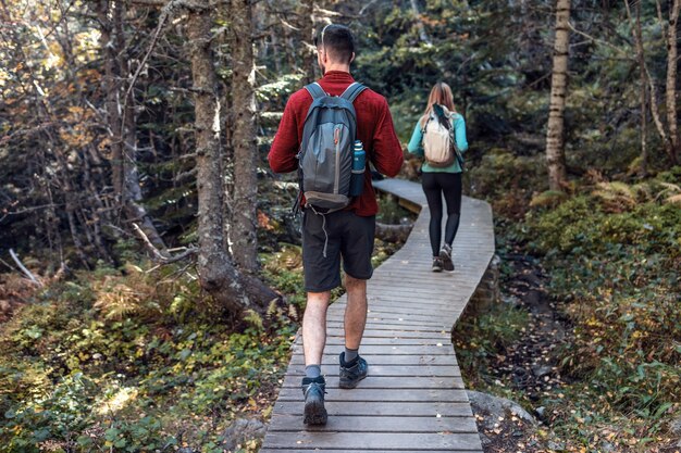 Dos excursionistas viajan con mochila caminando mientras miran el paisaje en el bosque. Vista trasera.