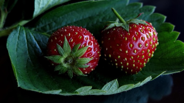 Dos fresas maduras y dulces en una hoja