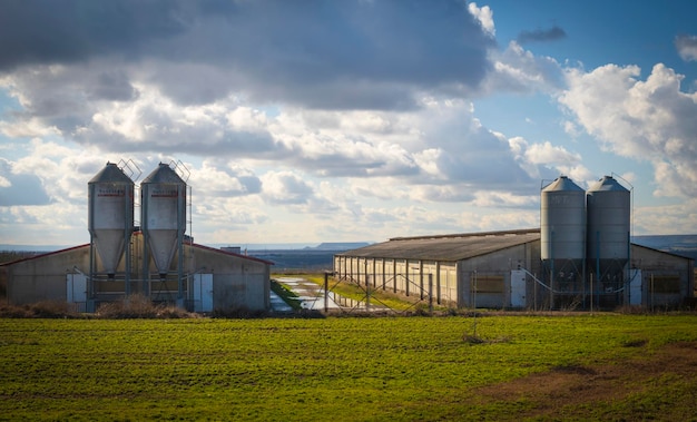 Dos granjas porcinas con cuatro silos de alimentación.