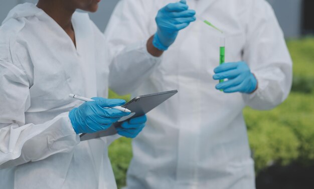 Foto dos granjeros asiáticos inspeccionando la calidad de las verduras orgánicas cultivadas con hidroponía